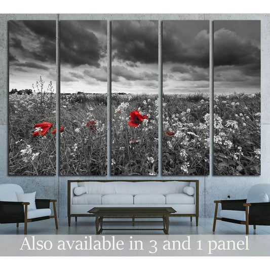 Poppies in a field in black and white №2670 Ready to Hang Canvas PrintCanvas art arrives ready to hang, with hanging accessories included and no additional framing required. Every canvas print is hand-crafted, made on-demand at our workshop and expertly s