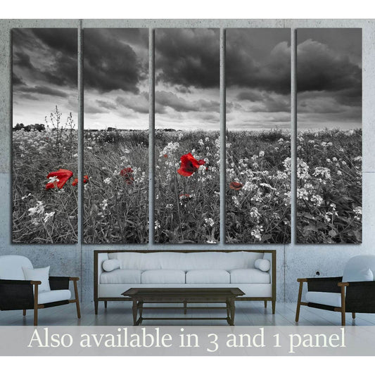 Poppies in a field in black and white №2670 Ready to Hang Canvas Print - Zellart Canvas Prints ALL_Products, s-2670