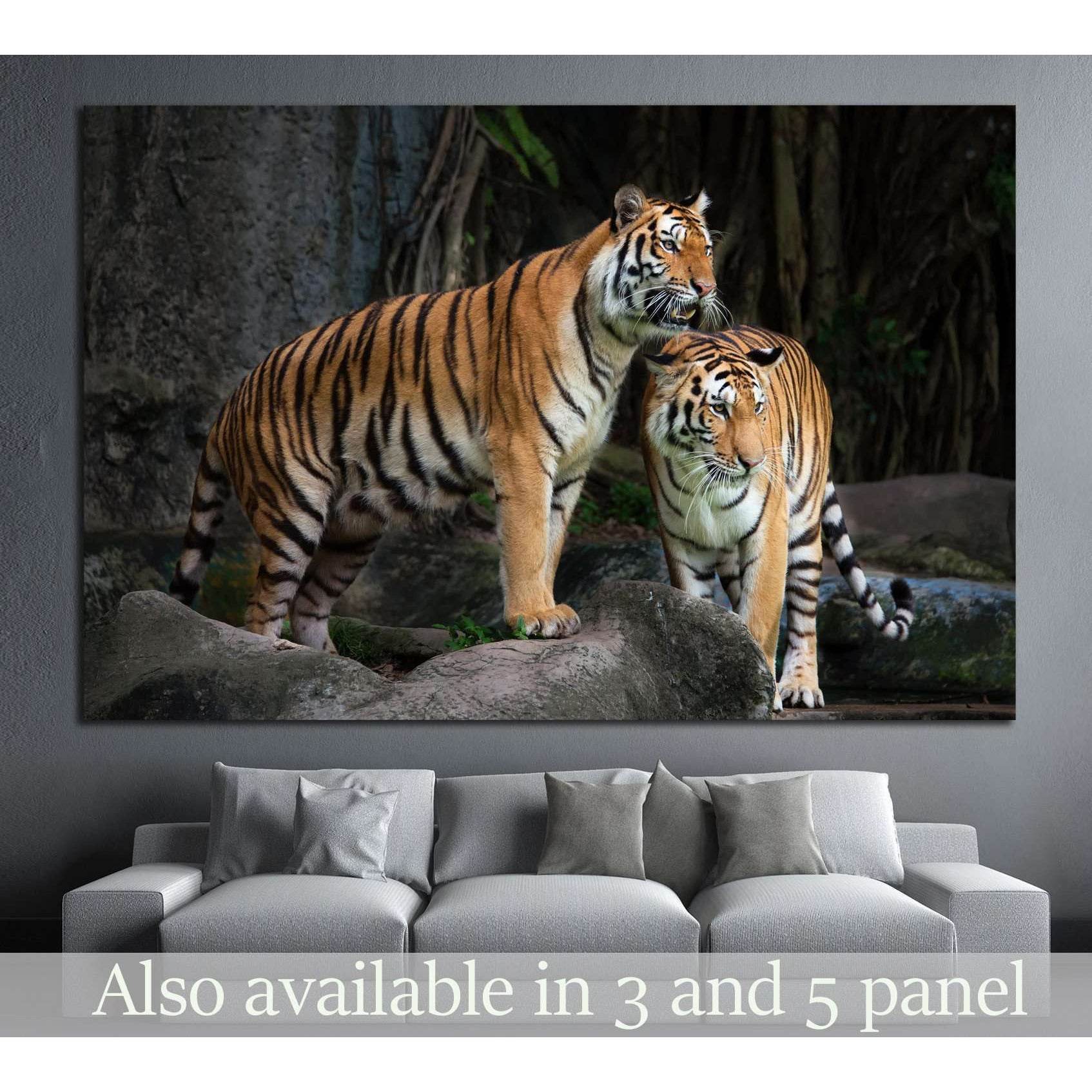 Portrait of a Royal Bengal tiger №1117 Ready to Hang Canvas Print - Zellart Canvas Prints ALL_Products, s-1117, Tiger