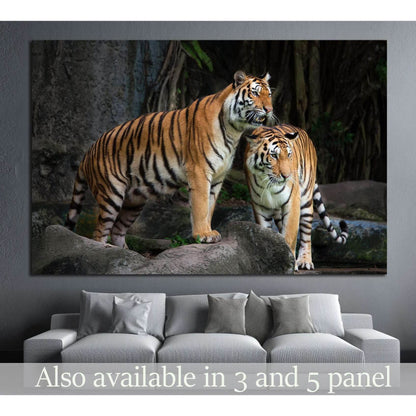 Portrait of a Royal Bengal tiger №1117 Ready to Hang Canvas Print - Zellart Canvas Prints ALL_Products, s-1117, Tiger