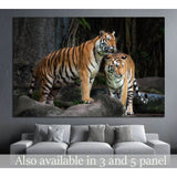 Portrait of a Royal Bengal tiger №1117 Ready to Hang Canvas Print