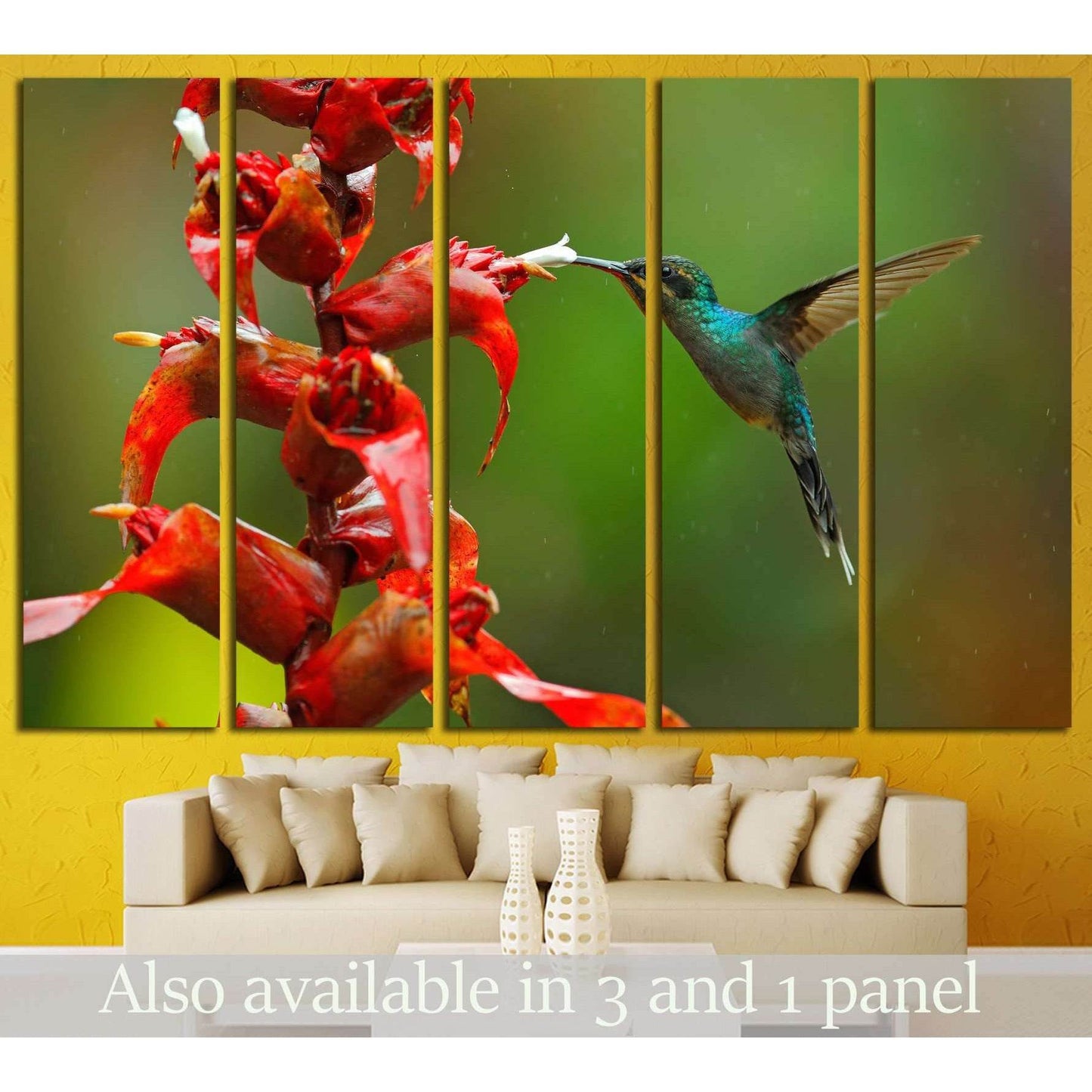 Rare hummingbird from Costa Rica №1445 Ready to Hang Canvas Print - Zellart Canvas Prints ALL_Products, s-1445