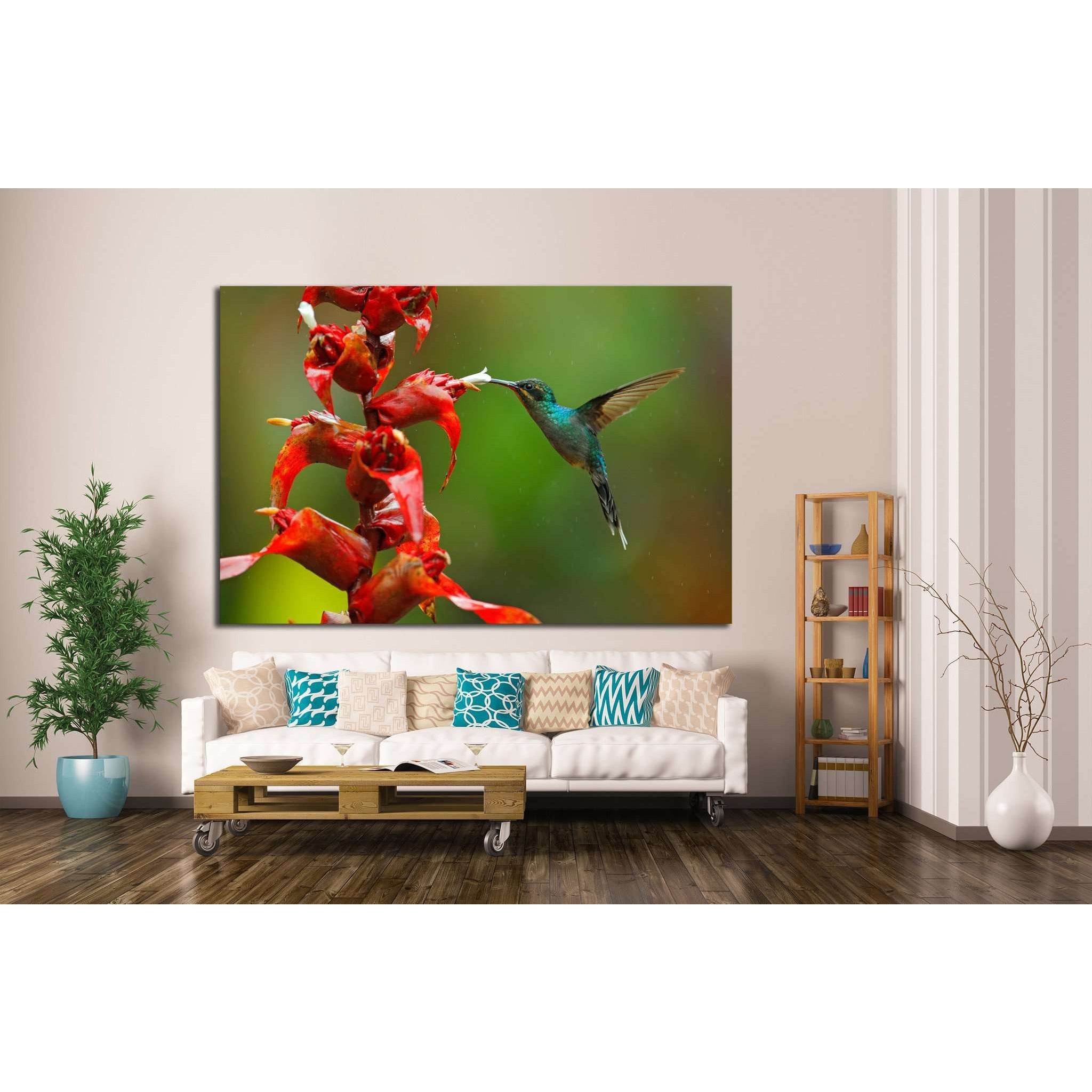 Rare hummingbird from Costa Rica №1445 Ready to Hang Canvas Print