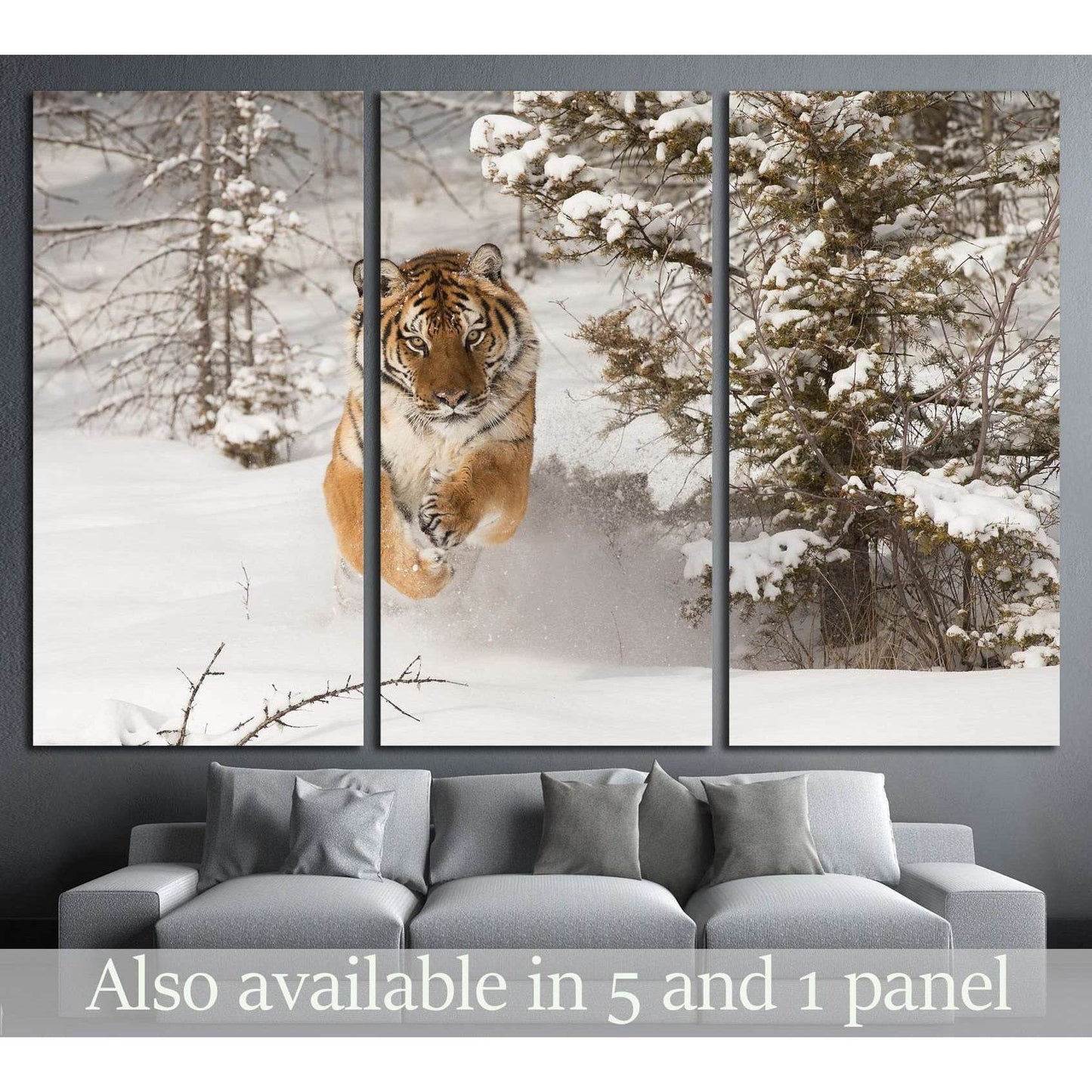Rare Siberian Tiger running in snow between trees №2344 Ready to Hang Canvas Print - Zellart Canvas Prints ALL_Products, s-2344, Tiger