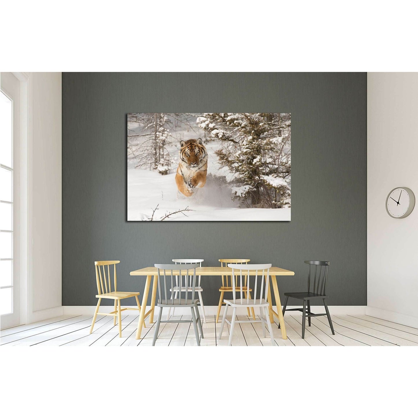 Rare Siberian Tiger running in snow between trees №2344 Ready to Hang Canvas PrintCanvas art arrives ready to hang, with hanging accessories included and no additional framing required. Every canvas print is hand-crafted, made on-demand at our workshop an
