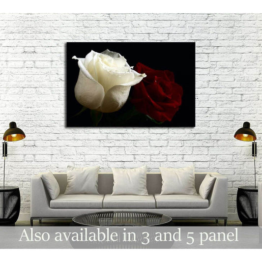 red and white roses with water drop on black background №3275 Ready to Hang Canvas PrintCanvas art arrives ready to hang, with hanging accessories included and no additional framing required. Every canvas print is hand-crafted, made on-demand at our works