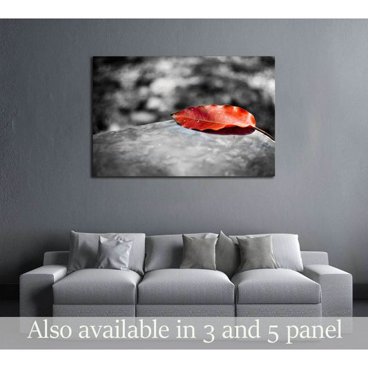Red leaf on black and white background №3025 Ready to Hang Canvas Print - Zellart Canvas Prints ALL_Products, s-3025