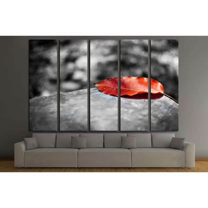 Red leaf on black and white background №3025 Ready to Hang Canvas PrintCanvas art arrives ready to hang, with hanging accessories included and no additional framing required. Every canvas print is hand-crafted, made on-demand at our workshop and expertly