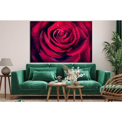 Red Rose Flower №SL705 Ready to Hang Canvas Print - Zellart Canvas Prints 0new, ALL_Products, Floral & Botanical Wall Art