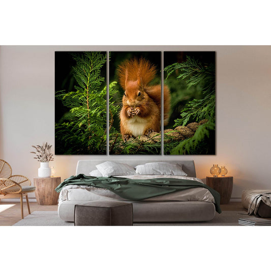 Red Squirrel In Pine Needles №SL1014 Ready to Hang Canvas Print - Zellart Canvas Prints 0new, ALL_Products, Animals & Wildlife