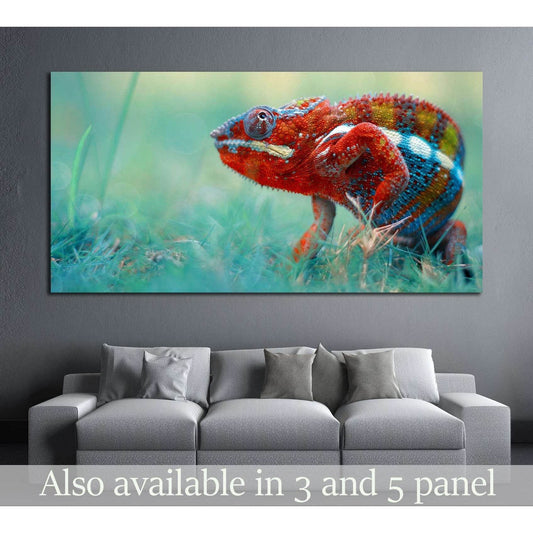reptile, reptiles, chameleon, macro, animal, animals, indonesia №2377 Ready to Hang Canvas PrintCanvas art arrives ready to hang, with hanging accessories included and no additional framing required. Every canvas print is hand-crafted, made on-demand at o
