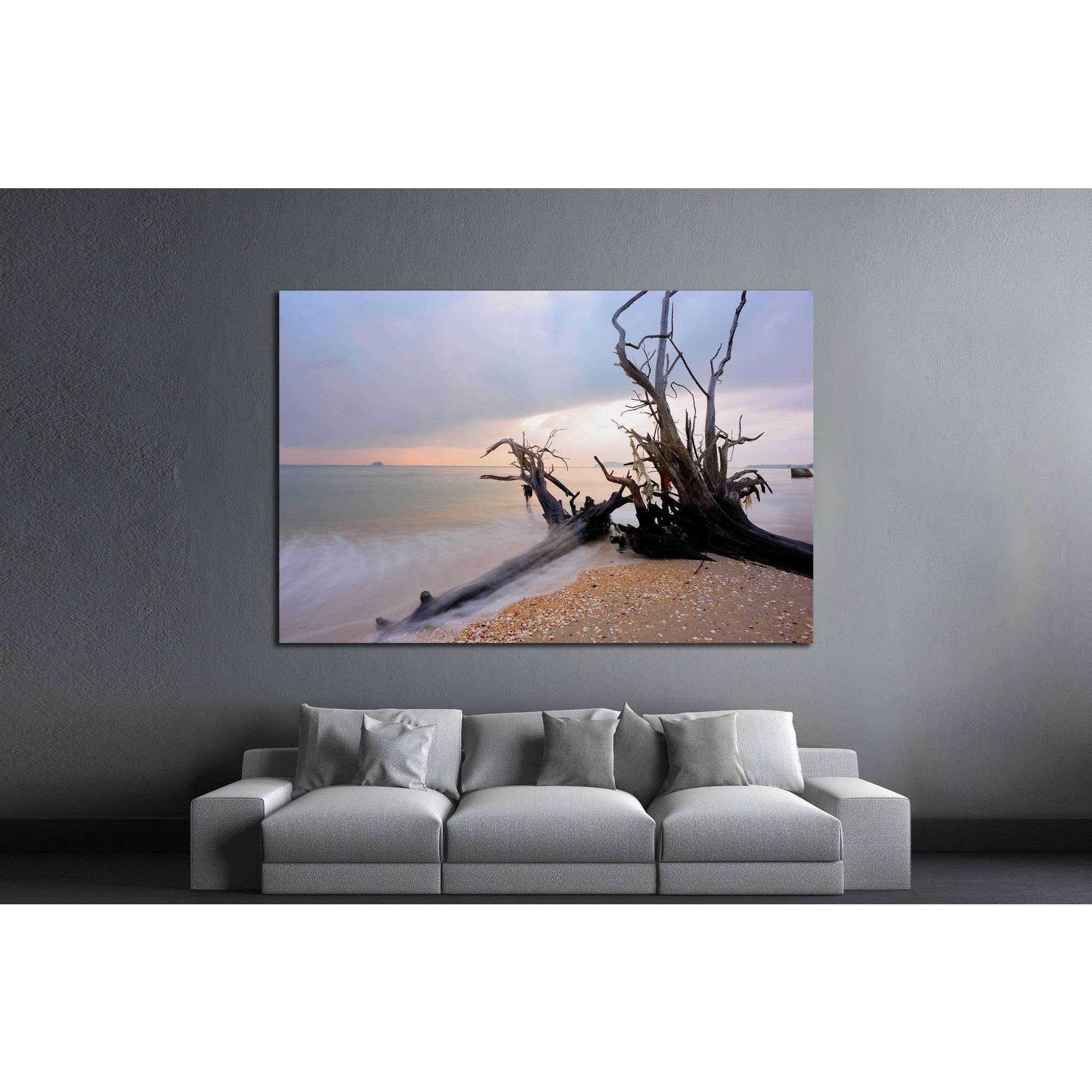 Root on the beach №1971 Ready to Hang Canvas Print