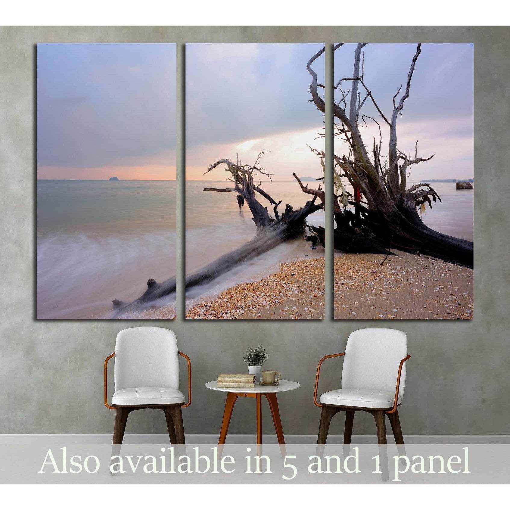 Root on the beach №1971 Ready to Hang Canvas Print