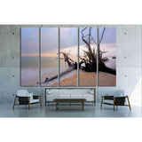Root on the beach №1971 Ready to Hang Canvas Print