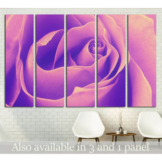 Rose, top view, petals, close-up, fragment - helical structure №2555 Ready to Hang Canvas Print - Zellart Canvas Prints ALL_Products, s-2555