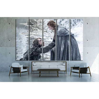 Sansa Stark №3348 Ready to Hang Canvas Print - Zellart Canvas Prints ALL_Products, s-3348