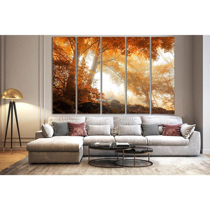 Seasons Autumn Trees №SL1066 Ready to Hang Canvas Print - Zellart Canvas Prints 0new, ALL_Products, Trees Wall Art