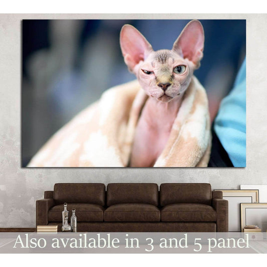 Serious cat №13 Ready to Hang Canvas Print - Zellart Canvas Prints ALL_Products, s-13