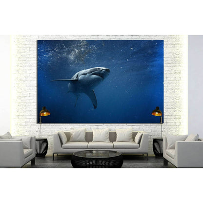 Shark №503 Ready to Hang Canvas Print - Zellart Canvas Prints ALL_Products, s-503