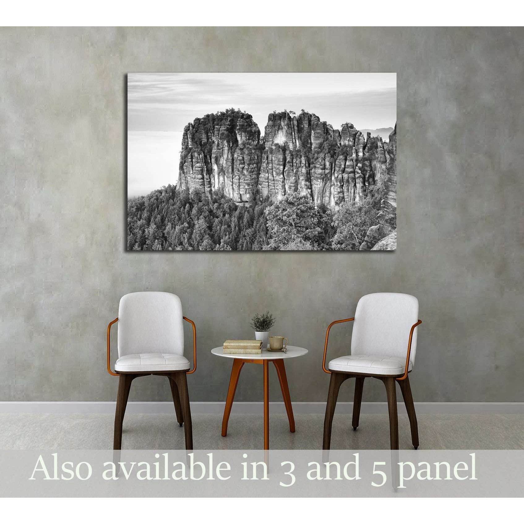 Sharp sandstone cliffs of Schrammsteine rocks above deep valley №3169 Ready to Hang Canvas Print - Zellart Canvas Prints ALL_Products, s-3169