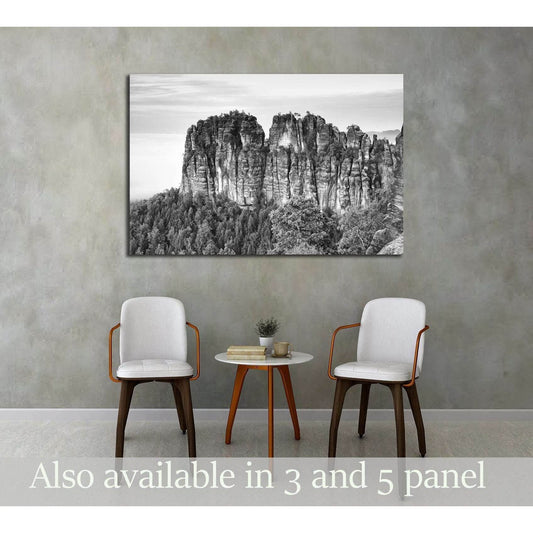 Sharp sandstone cliffs of Schrammsteine rocks above deep valley №3169 Ready to Hang Canvas Print - Zellart Canvas Prints ALL_Products, s-3169
