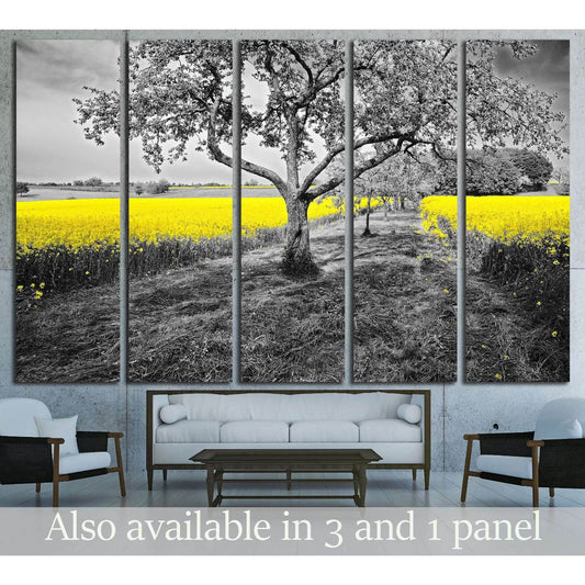 Artistic Tree in Field Canvas Art for Contemporary Office SpacesThis canvas print displays a striking black and white image of an old tree with a vivid yellow rapeseed field in the background, a selective color technique that adds a modern twist to any ro
