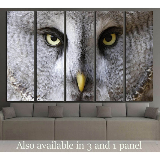 snow owl portrait №2784 Ready to Hang Canvas Print - Zellart Canvas Prints ALL_Products, Owl, s-2784