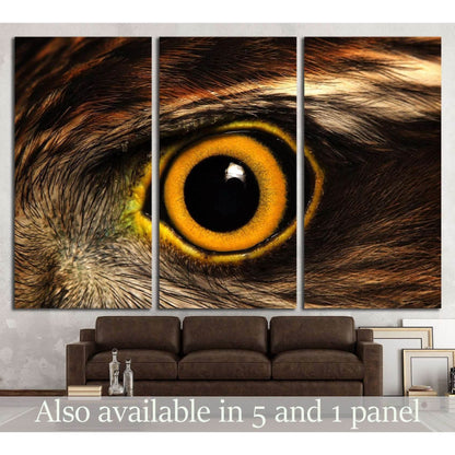 Sparrow-hawk eye №1862 Ready to Hang Canvas Print - Zellart Canvas Prints ALL_Products, s-1862