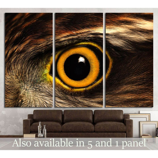 Sparrow-hawk eye №1862 Ready to Hang Canvas Print - Zellart Canvas Prints ALL_Products, s-1862