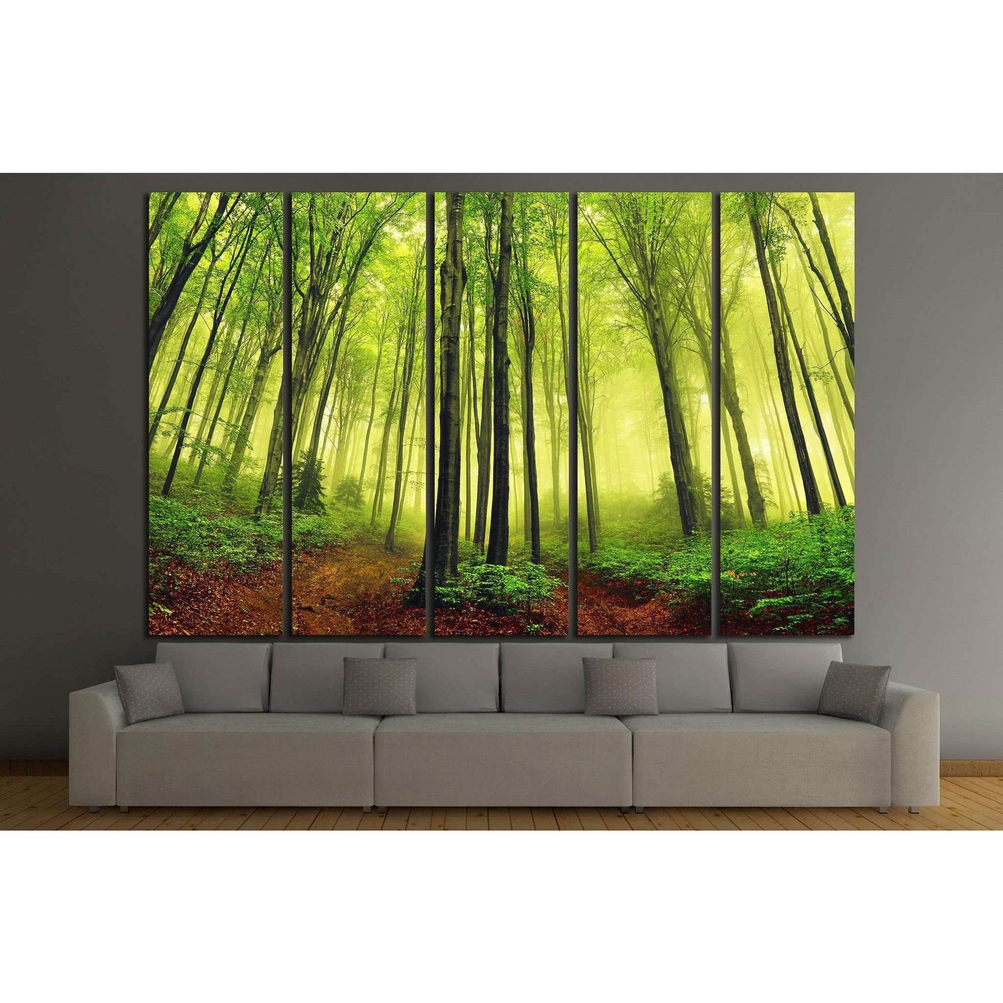 summer fog in the forest №747 Ready to Hang Canvas Print