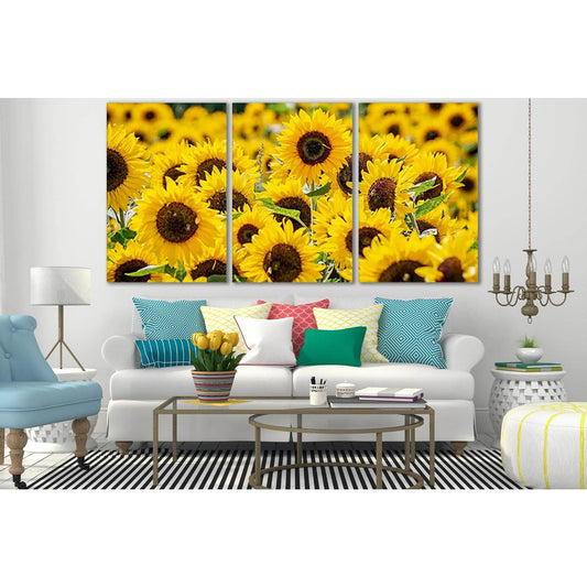 Sunflowers In The Field №SL691 Ready to Hang Canvas Print - Zellart Canvas Prints 0new, ALL_Products, Floral & Botanical Wall Art