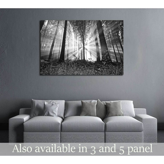 sunrise in a forest №2687 Ready to Hang Canvas PrintCanvas art arrives ready to hang, with hanging accessories included and no additional framing required. Every canvas print is hand-crafted, made on-demand at our workshop and expertly stretched around 10