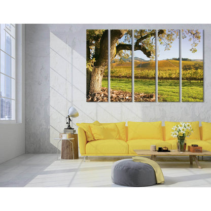 Sunrise Over Autumn Vineyard №04209 Ready to Hang Canvas Print - Zellart Canvas Prints ALL_Products