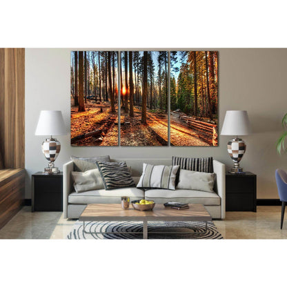 Sunset In The Forest №SL251 Ready to Hang Canvas Print - Zellart Canvas Prints 0new, ALL_Products, SUNRISE & SUNSET WALL ART