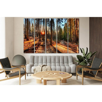 Sunset In The Forest №SL251 Ready to Hang Canvas Print - Zellart Canvas Prints 0new, ALL_Products, SUNRISE & SUNSET WALL ART