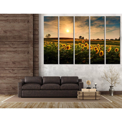 Sunset Over A Field Of Sunflowers №04224 Ready to Hang Canvas Print - Zellart Canvas Prints ALL_Products