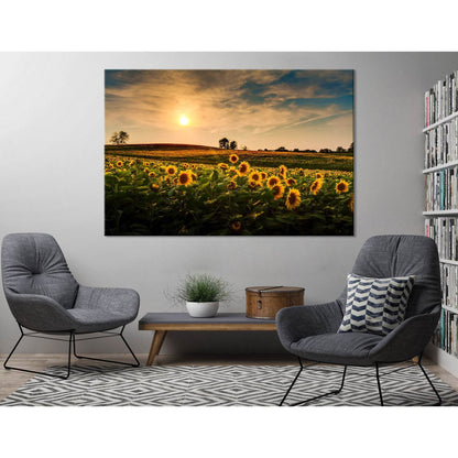 Sunset Over A Field Of Sunflowers №04224 Ready to Hang Canvas Print - Zellart Canvas Prints ALL_Products