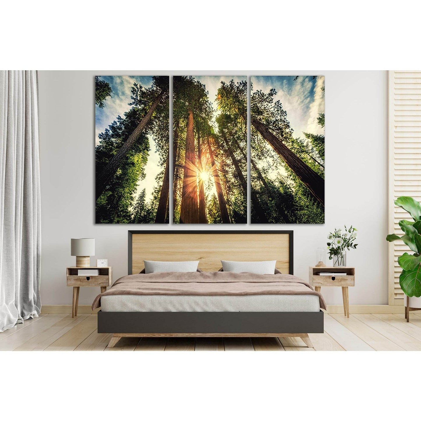 Tall Forest Sequoias №SL523 Ready to Hang Canvas Print - Zellart Canvas Prints 0new, ALL_Products, Trees Wall Art