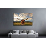 Texas longhorn steer in rural Utah, USA №2364 Ready to Hang Canvas Print