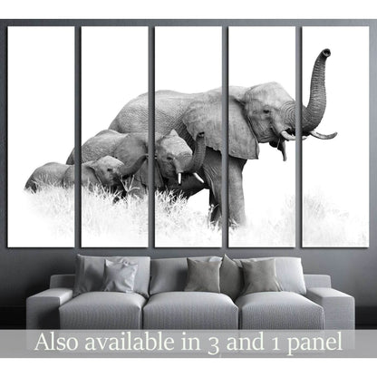 three African Bush Elephants, Loxodonta africana, Kruger, SA №1834 Ready to Hang Canvas Print - Zellart Canvas Prints ALL_Products, Elephant, s-1834