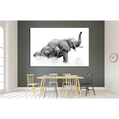 three African Bush Elephants, Loxodonta africana, Kruger, SA №1834 Ready to Hang Canvas Print - Zellart Canvas Prints ALL_Products, Elephant, s-1834