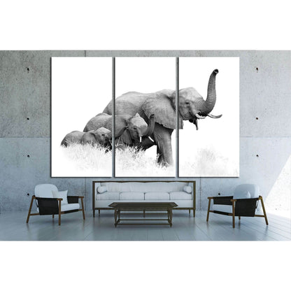 three African Bush Elephants, Loxodonta africana, Kruger, SA №1834 Ready to Hang Canvas Print - Zellart Canvas Prints ALL_Products, Elephant, s-1834