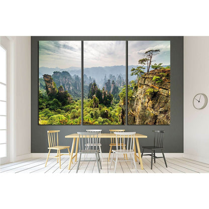 Tianzi Mountains (Avatar Mountains), Zhangjiajie National Forest Park, China №1988 Ready to Hang Canvas PrintCanvas art arrives ready to hang, with hanging accessories included and no additional framing required. Every canvas print is hand-crafted, made o