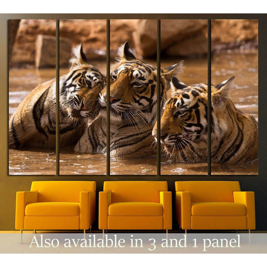 Tiger Family №2342 Ready to Hang Canvas Print - Zellart Canvas Prints ALL_Products, s-2342, Tiger