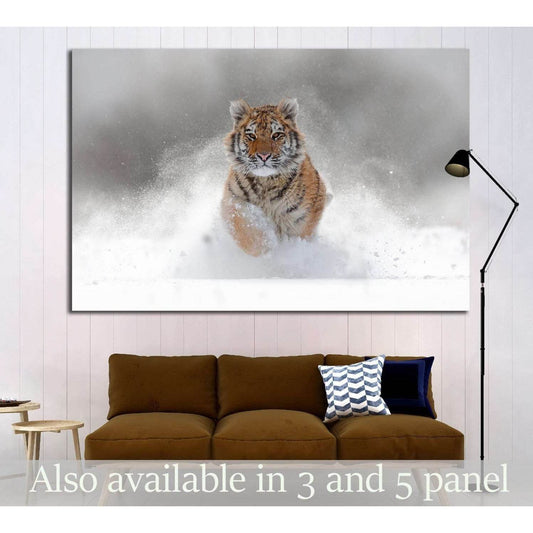 Tiger in wild winter nature. Amur tiger running in the snow №1831 Ready to Hang Canvas PrintCanvas art arrives ready to hang, with hanging accessories included and no additional framing required. Every canvas print is hand-crafted, made on-demand at our w