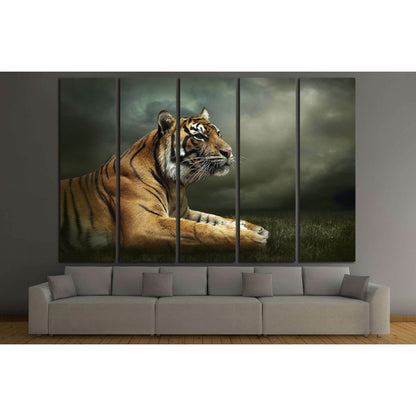 Tiger looking and sitting under dramatic sky with clouds №2347 Ready to Hang Canvas Print - Zellart Canvas Prints ALL_Products, s-2347, Tiger