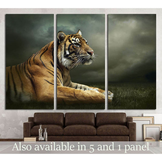 Tiger looking and sitting under dramatic sky with clouds №2347 Ready to Hang Canvas PrintCanvas art arrives ready to hang, with hanging accessories included and no additional framing required. Every canvas print is hand-crafted, made on-demand at our work