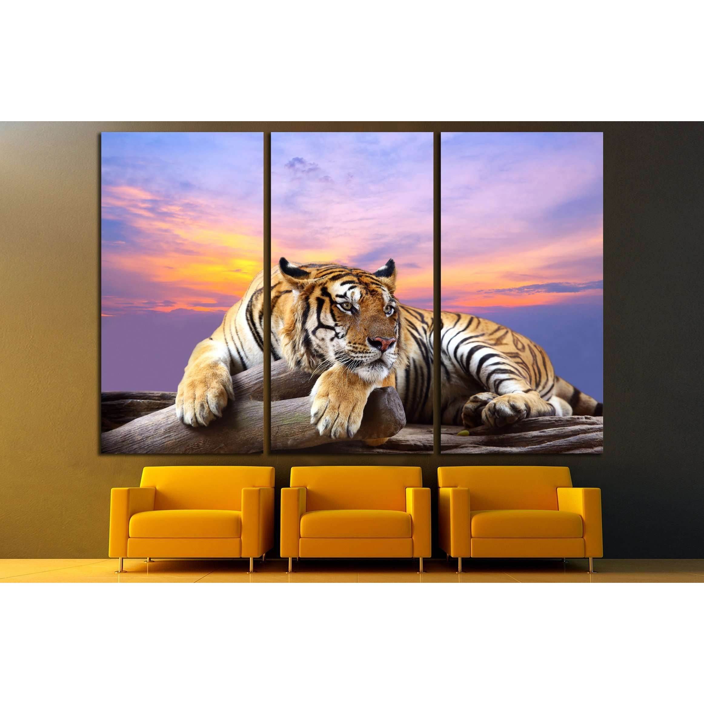 Tiger looking something on the rock with beautiful sky at sunset time №2793 Ready to Hang Canvas Print