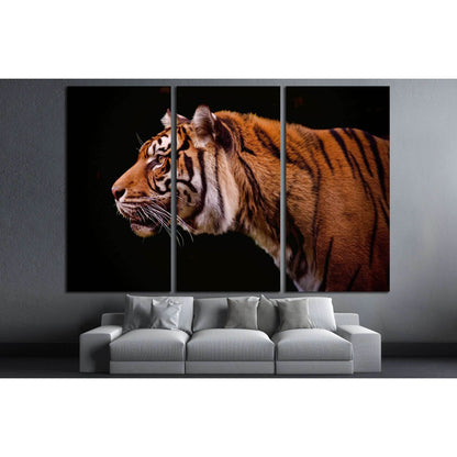 Tiger profile isolated on a black background №2341 Ready to Hang Canvas Print - Zellart Canvas Prints ALL_Products, s-2341, Tiger