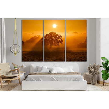 Tree Sky And Cloud At Sunrise №SL524 Ready to Hang Canvas Print - Zellart Canvas Prints 0new, ALL_Products, Trees Wall Art
